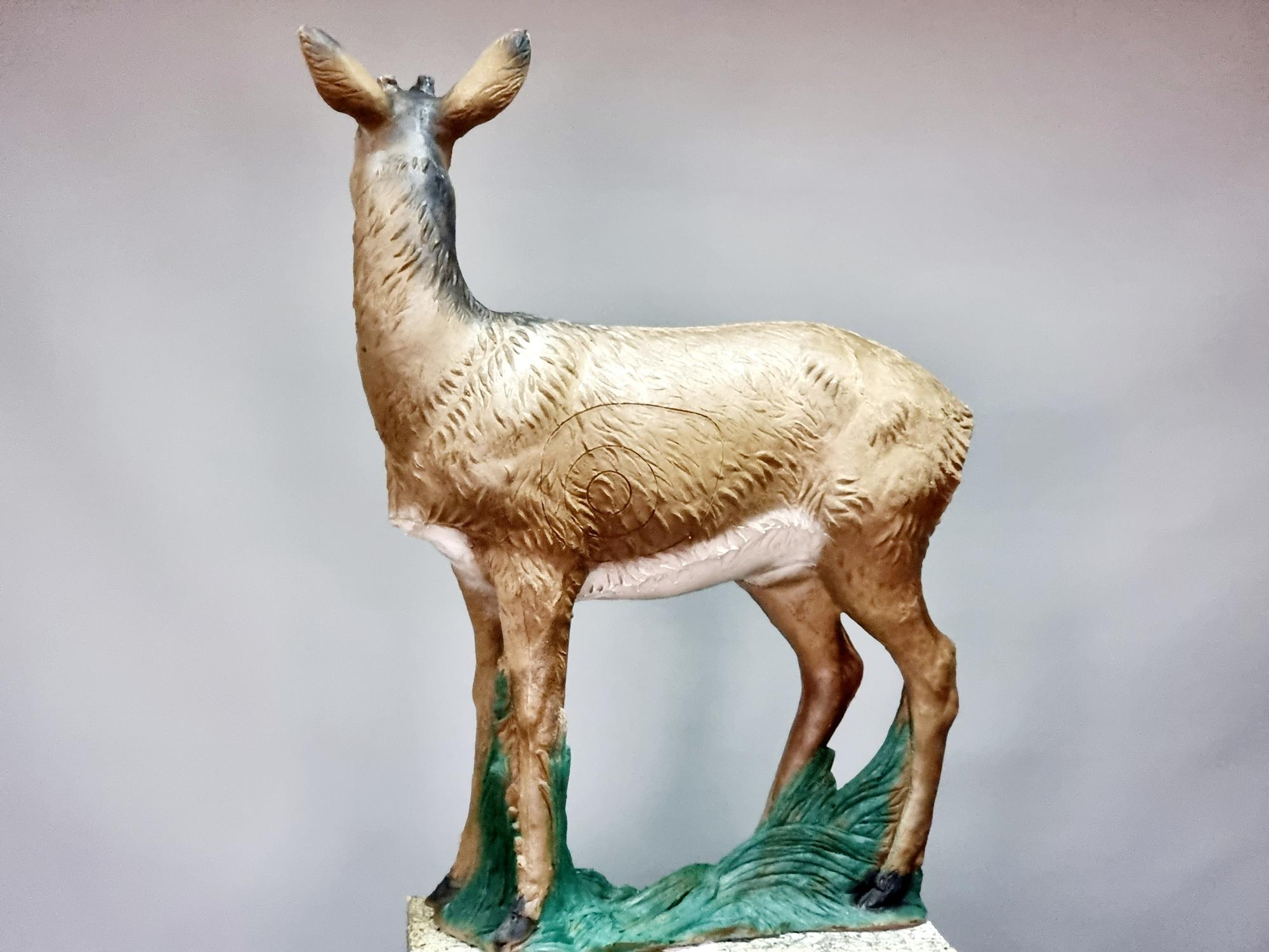 3D Мишень Косуля