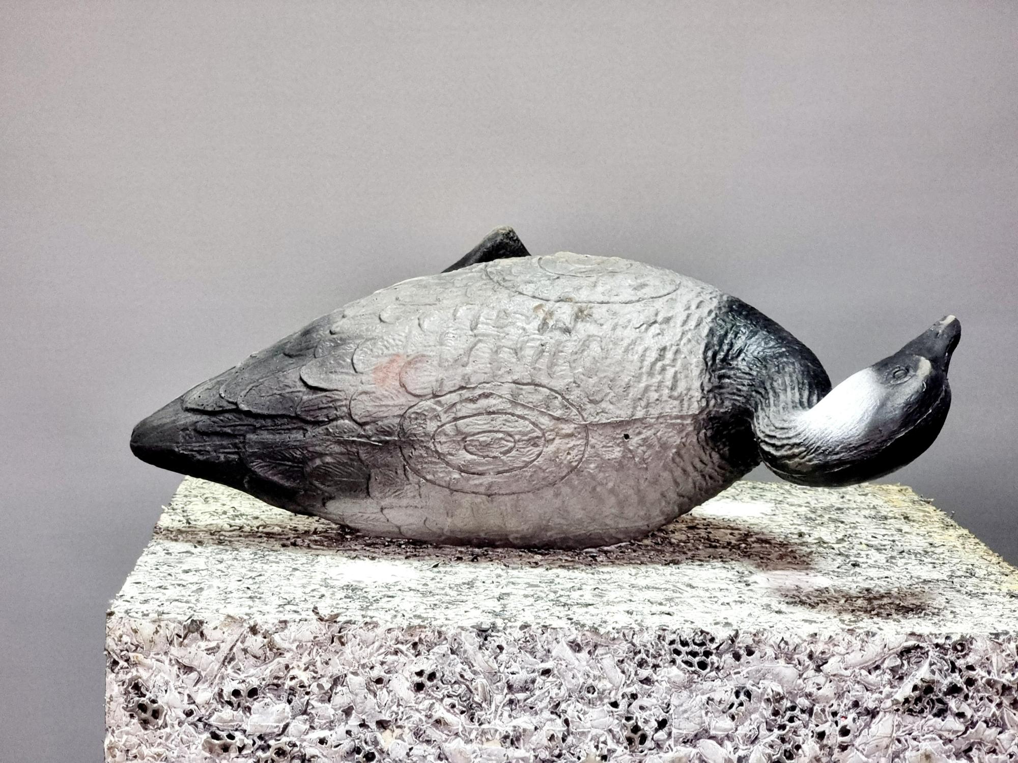3D Мишень Гусь