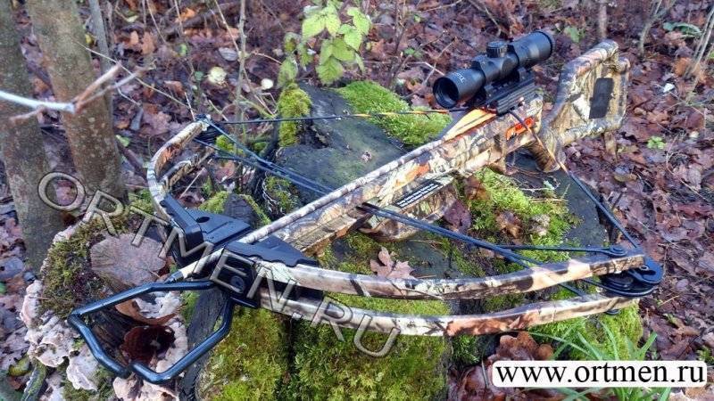 Арбалет блочный Ten Point  Warrior HL (Оптический прицел)