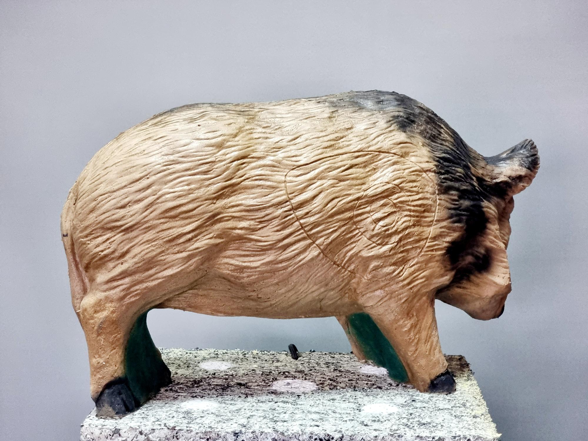 3D Мишень Свинья дикая