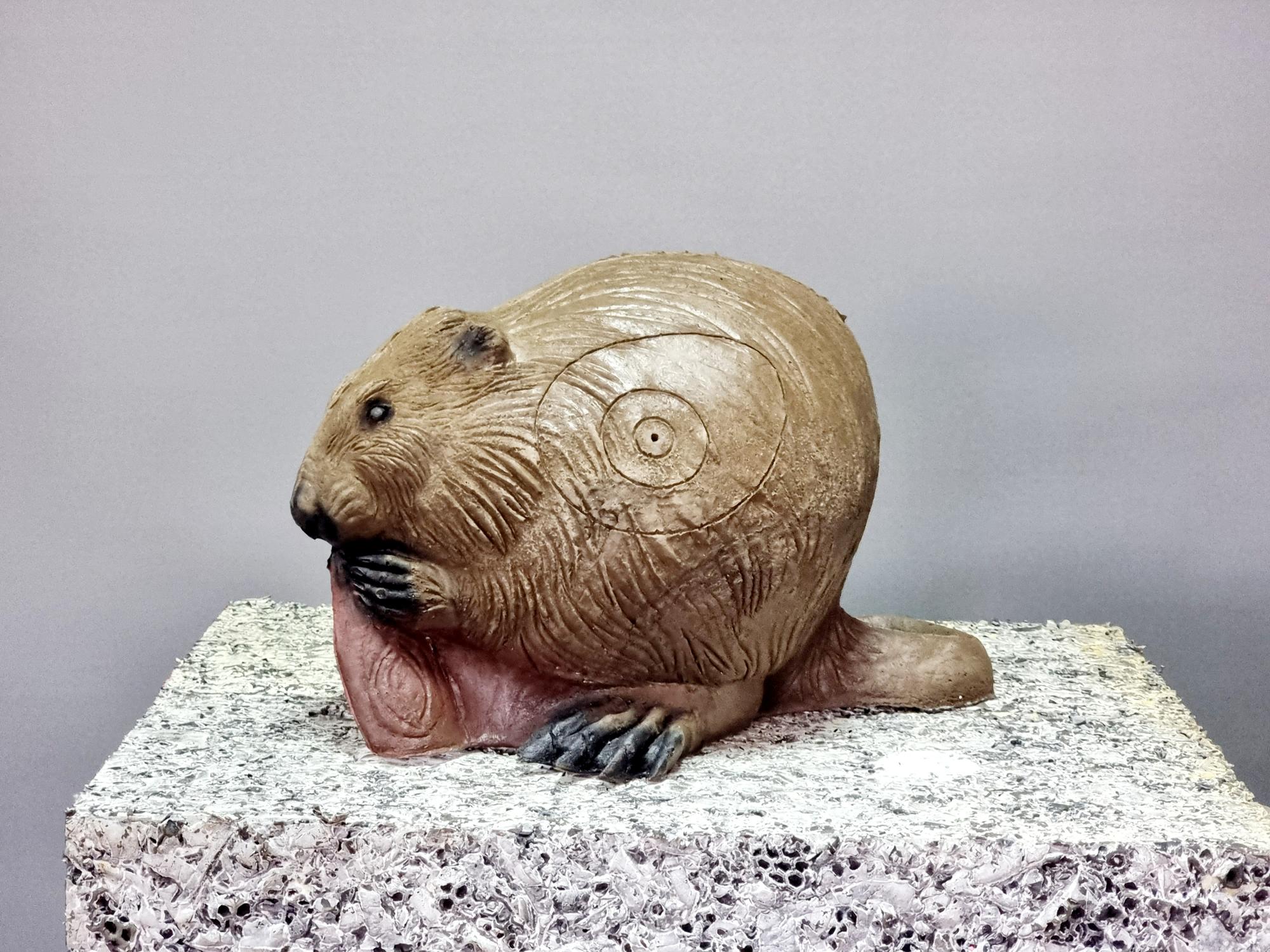 3D Мишень Ондатра