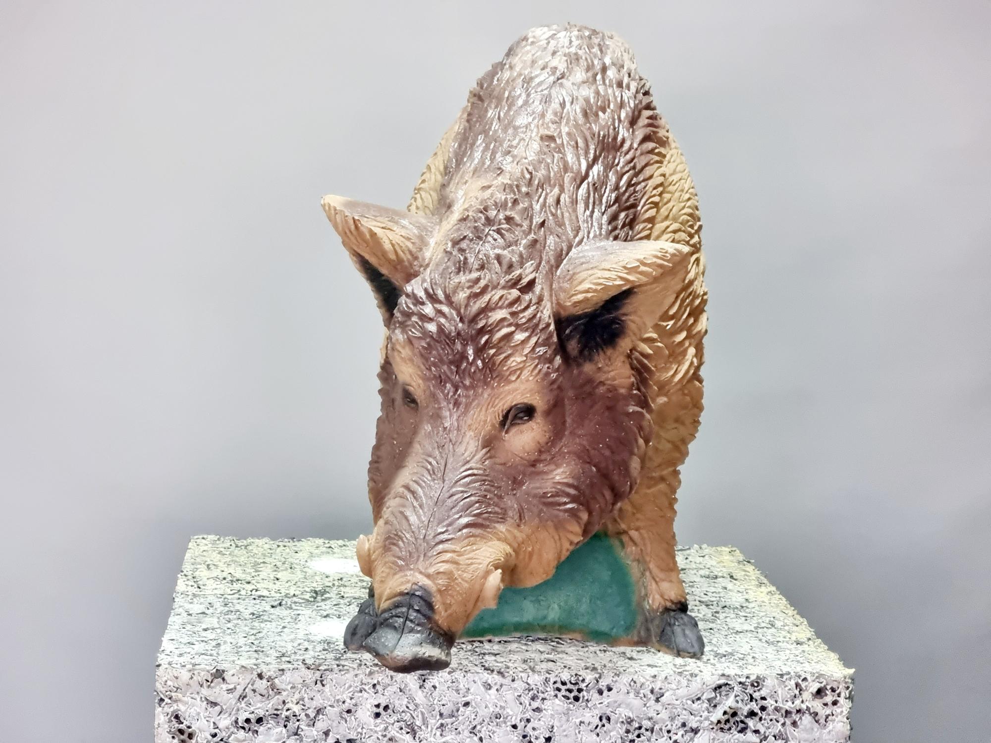 3D Мишень Свинья дикая