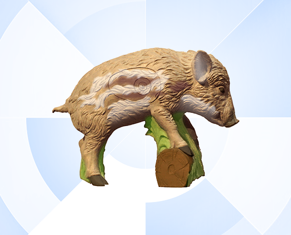 3D Мишени