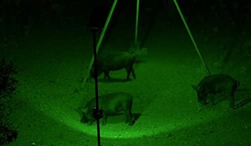 Фонарь с датчиком движения Blind Sider X2™ Dual LED