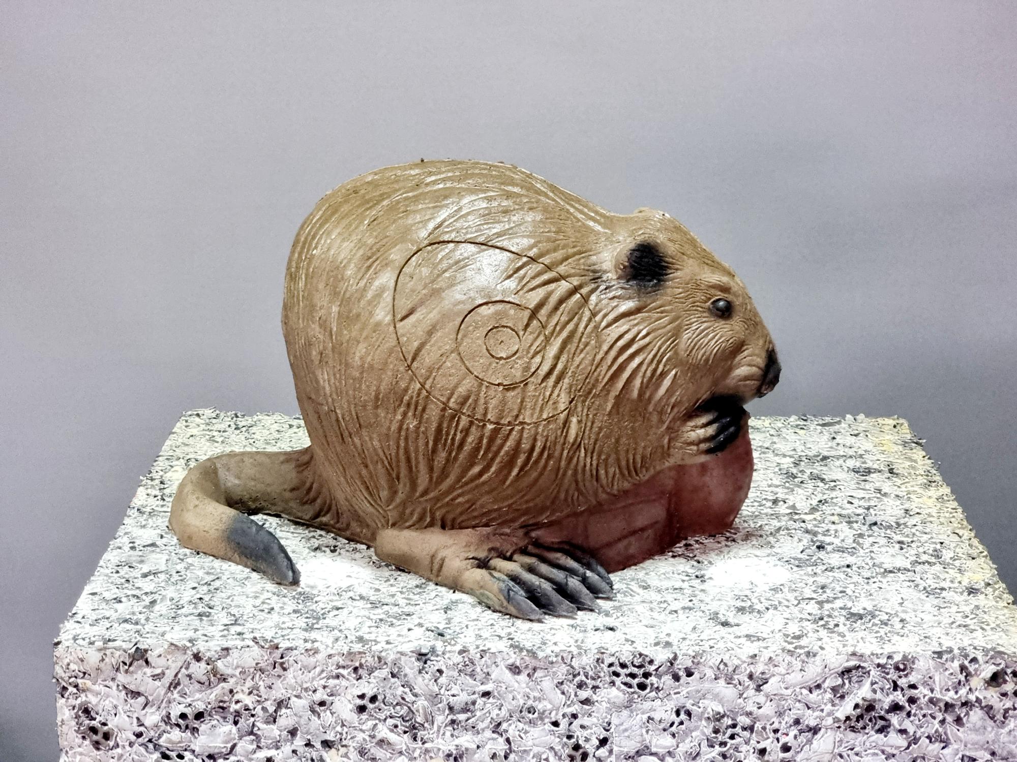 3D Мишень Ондатра