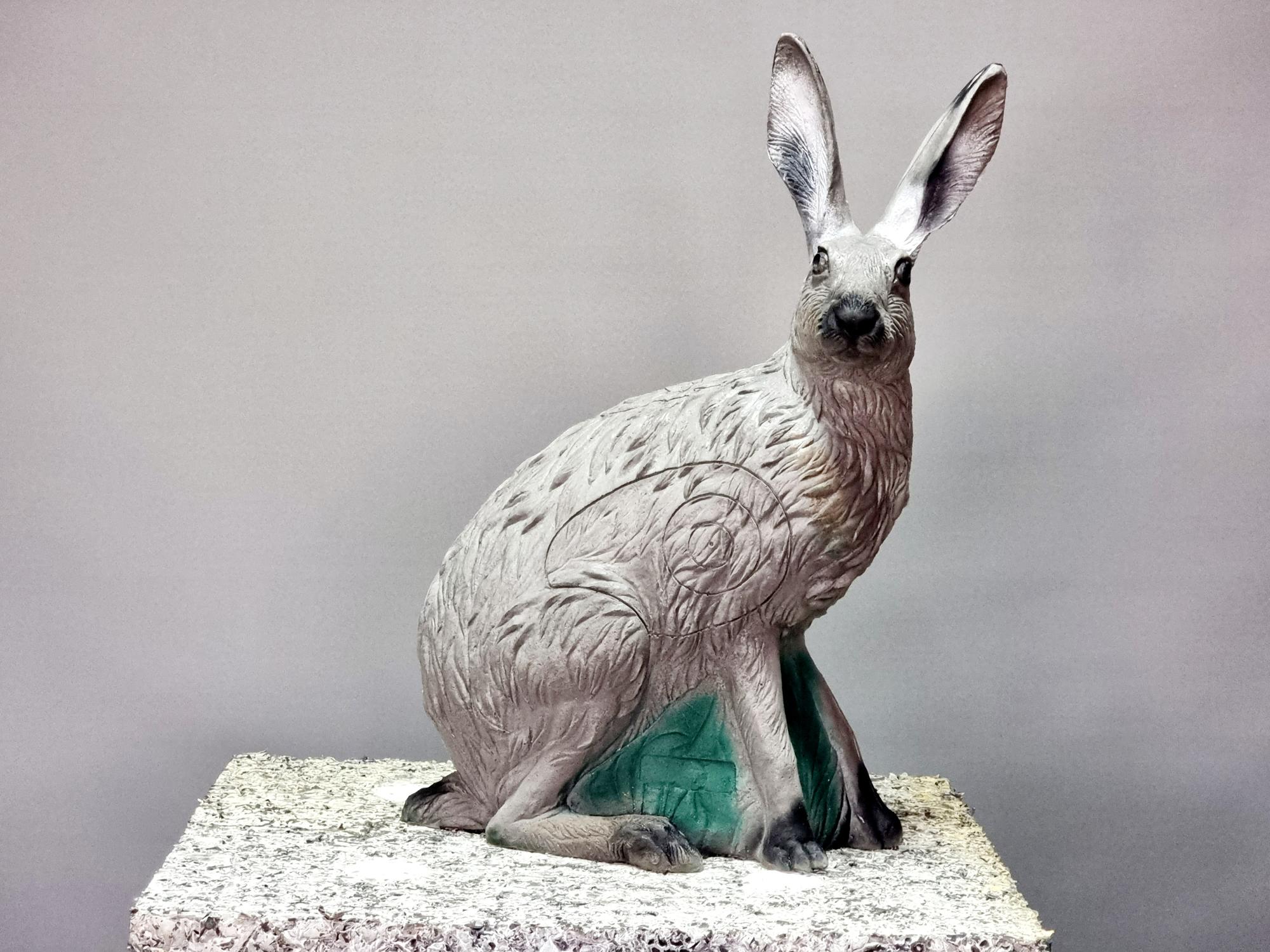 3D Мишень Заяц