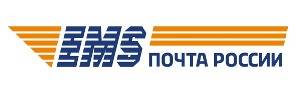 Логотип EMS